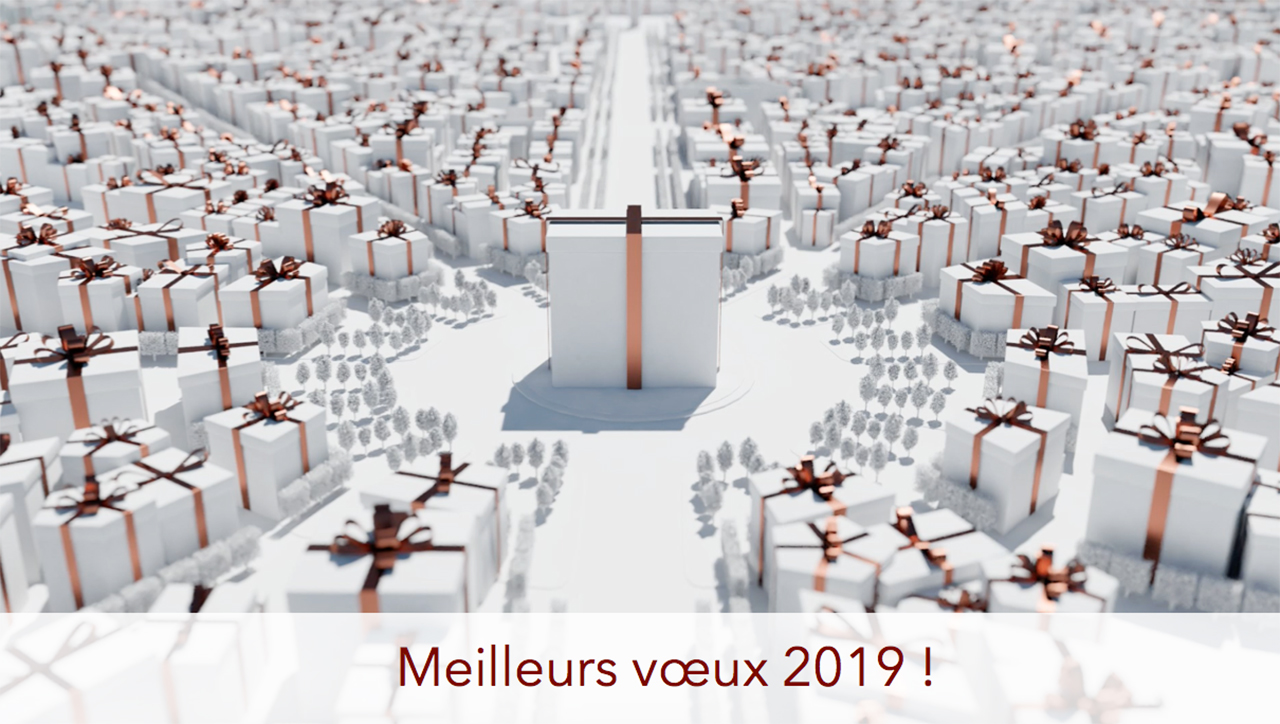 Meilleurs vœux 2019 !